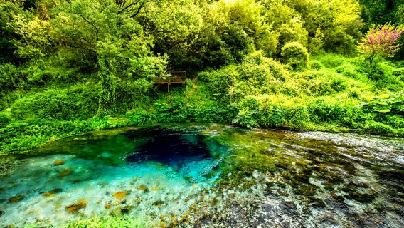 Chuyến đi trong ngày đến Công viên quốc gia Saranda và Butrint từ Corfu