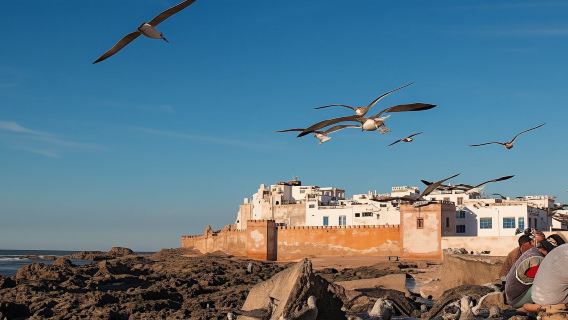 Essaouira day trip with optional guide from Marrakesh