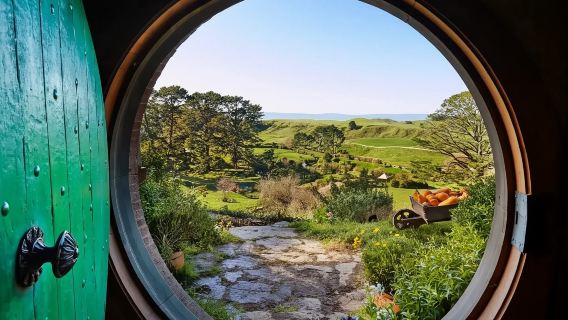 紐西蘭奧克蘭|一樹山+天空塔+美術館|點對點用車|可自訂行程