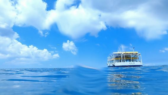 日本|沖縄グラスボート海底観光船ツアー