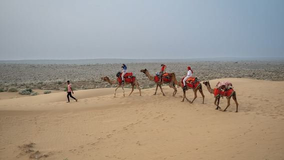 Overnight Camel Safari - Sleeping under the Stars