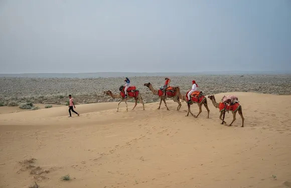 駱駝過夜之旅 - 星空下眠