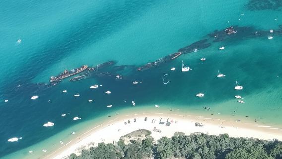 Brisbane Moretoninsel Tagesausflug inklusive Essensgutschein mit optionalem Schnorcheln, Sandboarding und Delfinfütterung