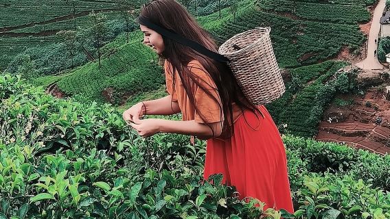 Tour di un giorno da Kandy a Nuwara Eliya