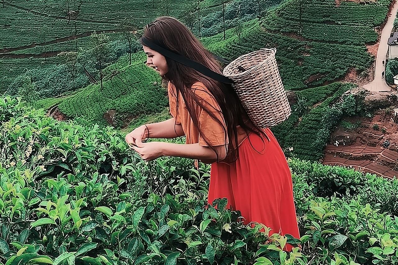 Kandy to Nuwara Eliya Day Tour