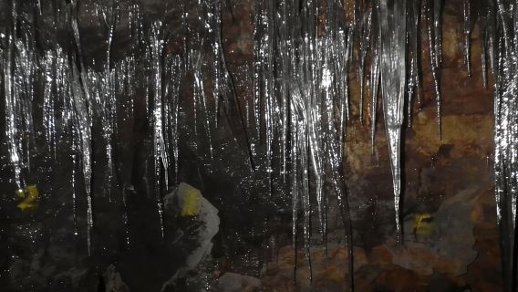 YamanakakoExperiences