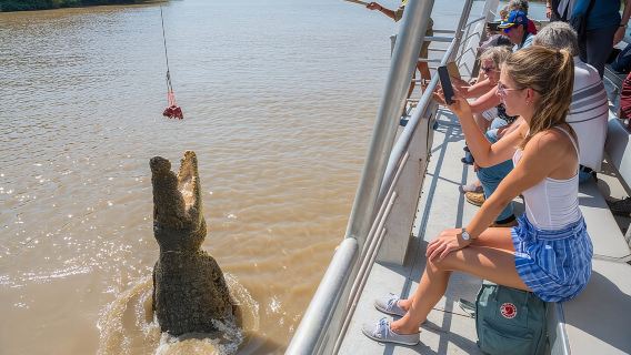 Crucero de 1 hora para ver cocodrilos saltarines en el río Adelaide