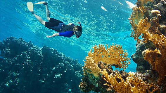 Phi Phi Island Sunset Tour by Speedboat from Krabi