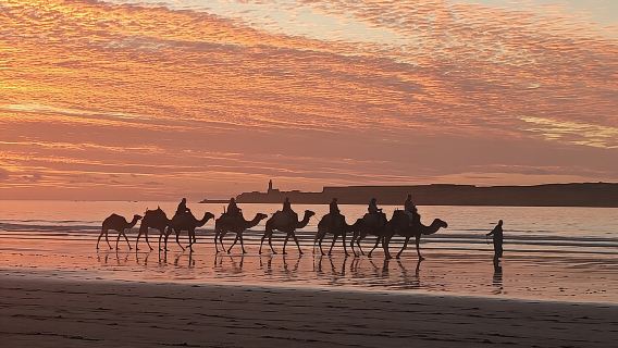 3-stündiger Kamelritt bei Sonnenuntergang