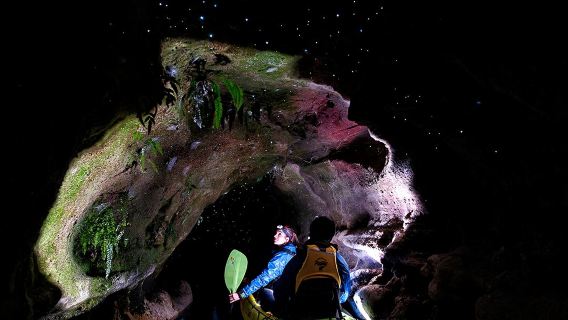 Rotorua Lake Glowworm Kayaking Tour in New Zealand