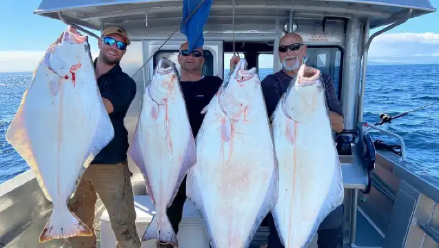 Private Ketchikan Halibut and Salmon Fishing Charter