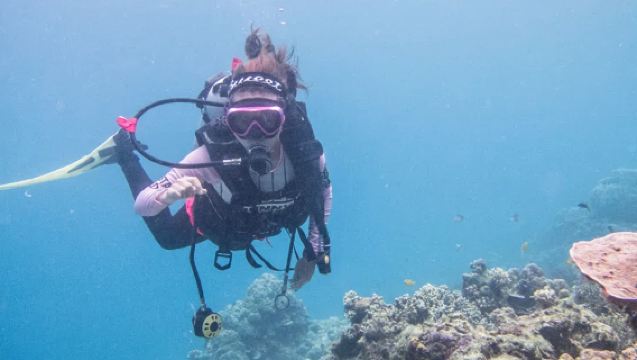 ประสบการณ์ดำน้ำที่เกาะราชาใหญ่ ภูเก็ต ไทย การดำน้ำสกูบา 0.5 ชั่วโมง [ดำน้ำลึกสำหรับมือใหม่|อัปเกรดเป็นดำน้ำลึกด้วยเรือใบหรือสปีดโบ๊ต]