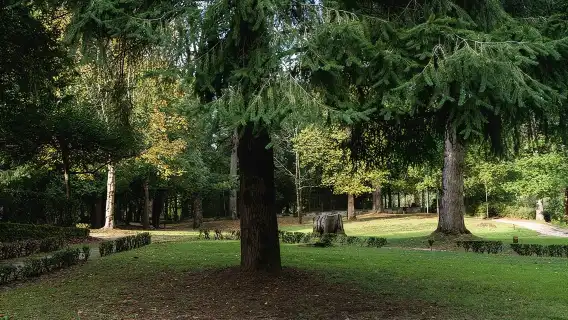 Gaztelugatxe, Mundaka and Gernika Tour from Bilbao