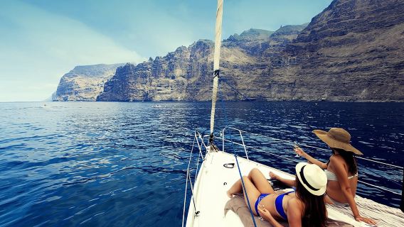 Whales and Dolphins Watching in Exclusive Sailboat