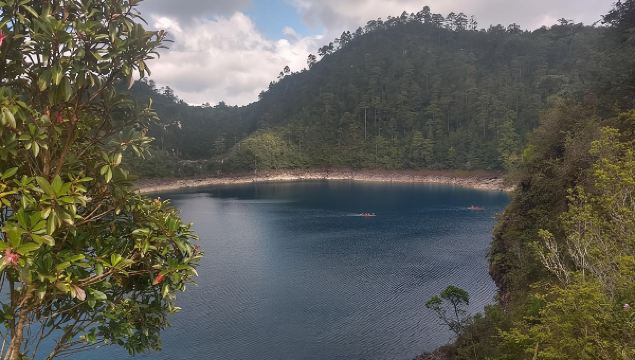 pic366624