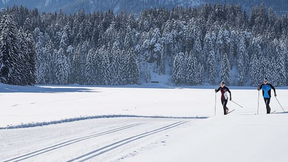 Lapland cross-country ski experience