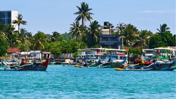 Avvistamento delle balene a Mirissa + gita di un giorno al centro storico di Galle in Sri Lanka|Servizio VIP personalizzato + viaggio in noleggio con conducente esclusivo e