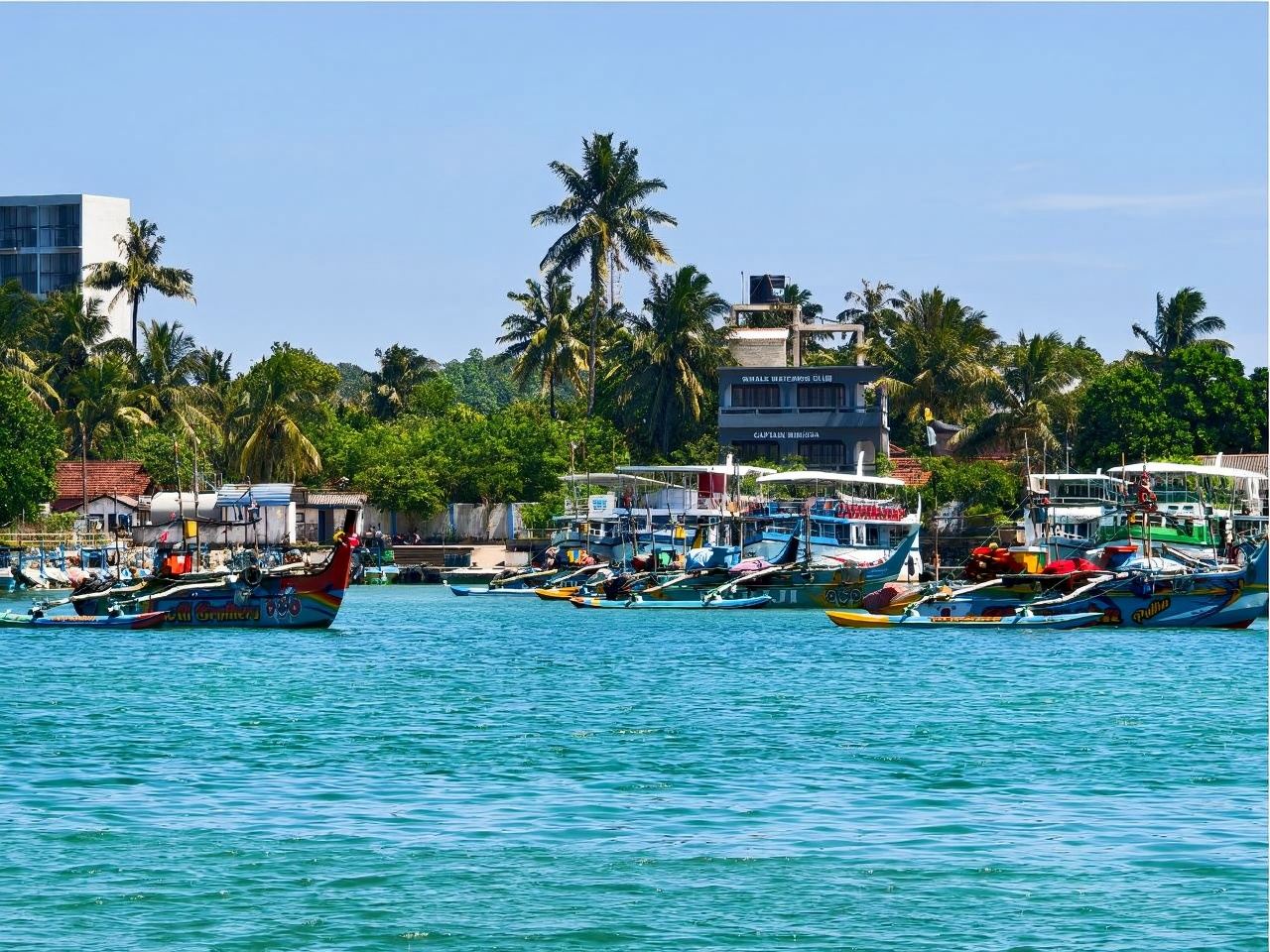 Eendaagse walvissafari op zee in Mirissa, Sri Lanka + bezoek aan de oude stad Galle|Wij kunnen boottickets en gecharterde autovervoer voor u regelen.