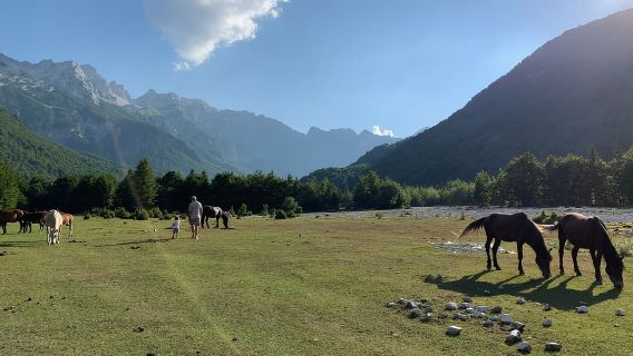 Shkoder: Traslados a Valbona/Theth/Río Shala. En ambos sentidos.