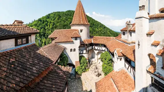 Bucharest : Peleș Castle, Dracula Castle and Brașov Day Trip