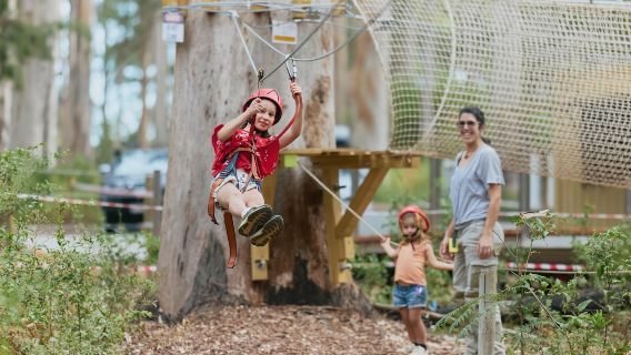 Pemberton: 40-minütiger Kookies Pass mit Seilrutschen und niedrigen Seilen