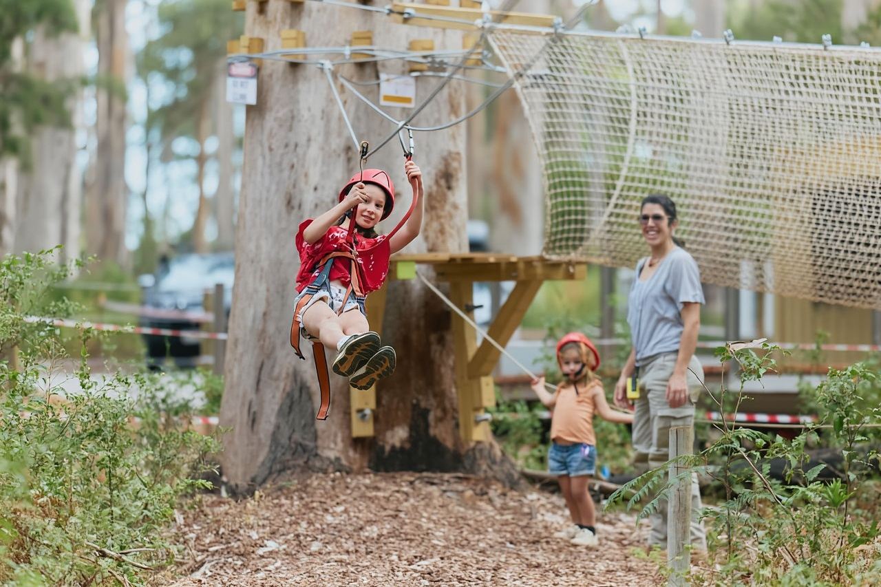 Pemberton: Kookies Pass da 40 minuti con teleferiche e corde basse