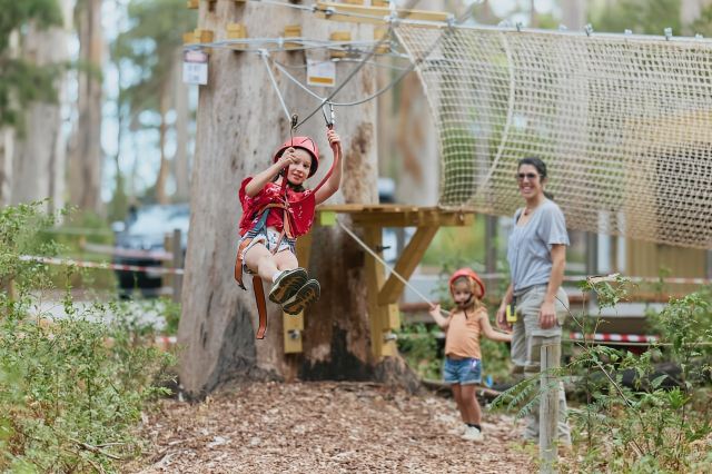 Pemberton: 40 minute Kookies Pass with Zip Lines & Low Ropes