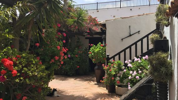 Fuerteventura: Discovery Tour
