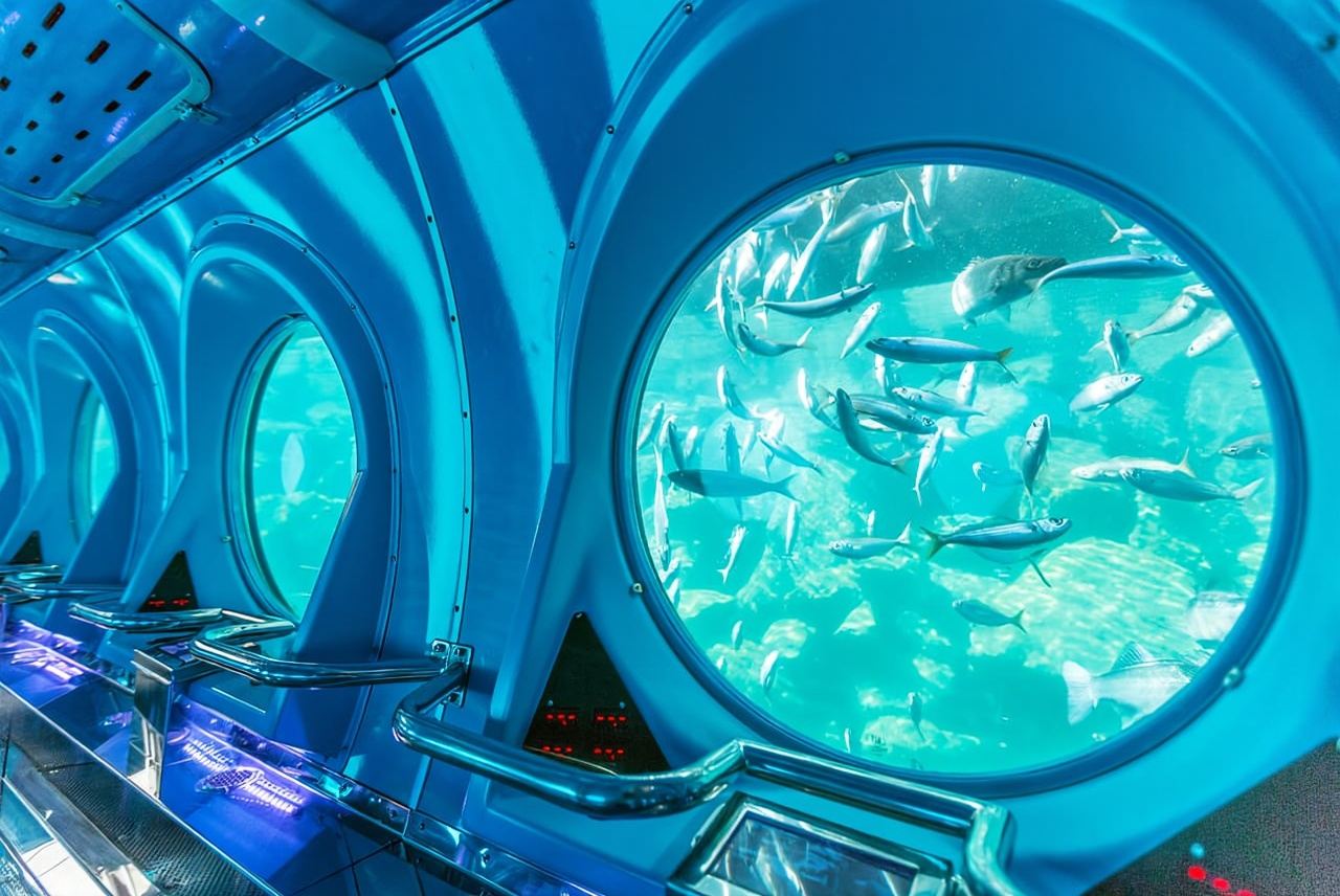 Puerto de Mogán : visite sous-marine