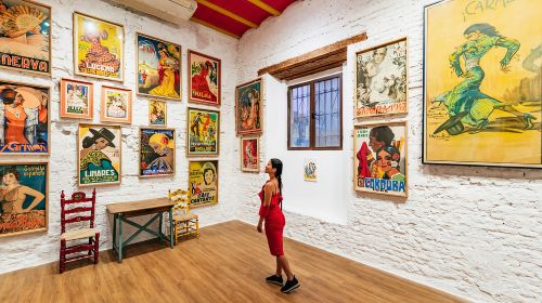 Seville: Casa de la Memoria Flamenco Show Day Tours