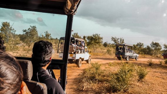 Национальный парк Удавалава: частное сафари