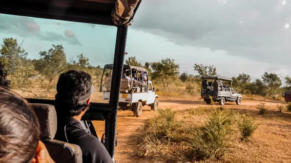 Udawalawa National Park: Private Safari
