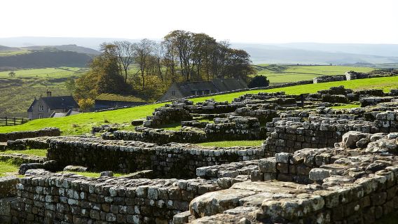 Hadrian's Wall: Housesteads Roman Fort Entry Ticket
