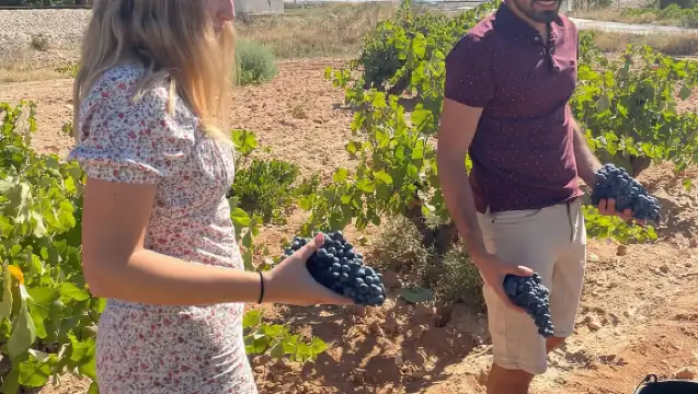 Valencia: Utiel-Requena Cave & Winery Day Trip with Tasting