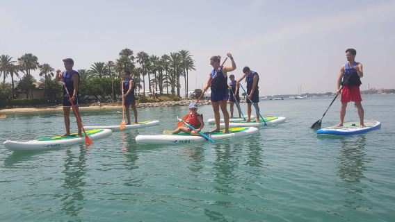 Puerto de Alcudia: Bài học chèo ván đứng