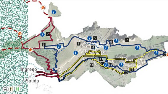 Machu Picchu: Tiket Masuk dan Transfer Bus dari Aguas Ca