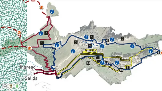 Machu Picchu: Boleto de ingreso y traslado en bus desde Aguas Ca