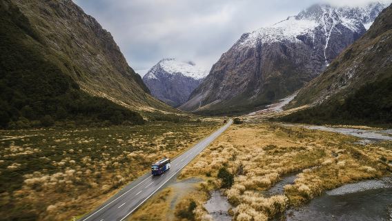 Ab Queenstown: Halbtägige geführte Tour zum Mount Cook