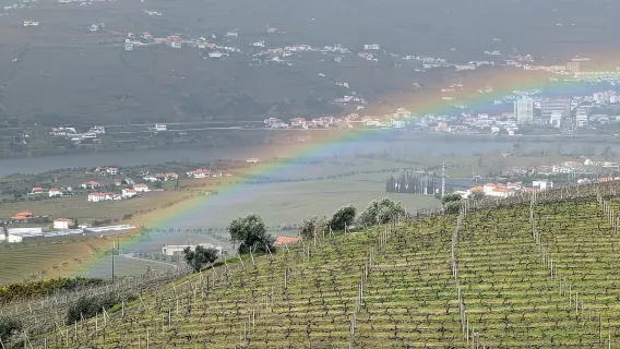 Desde Oporto: 2 regiones vinícolas, almuerzo de la granja a la mesa y paseo en barco
