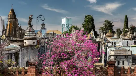 บัวโนสไอเรส: ทัวร์ถ่ายภาพบนดาดฟ้า