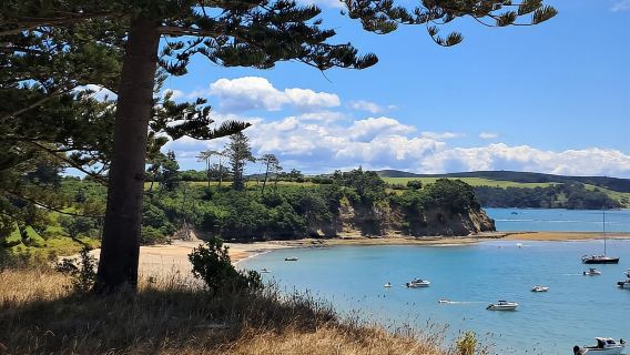 Auckland: biglietto del traghetto per l'isola di Motuihe