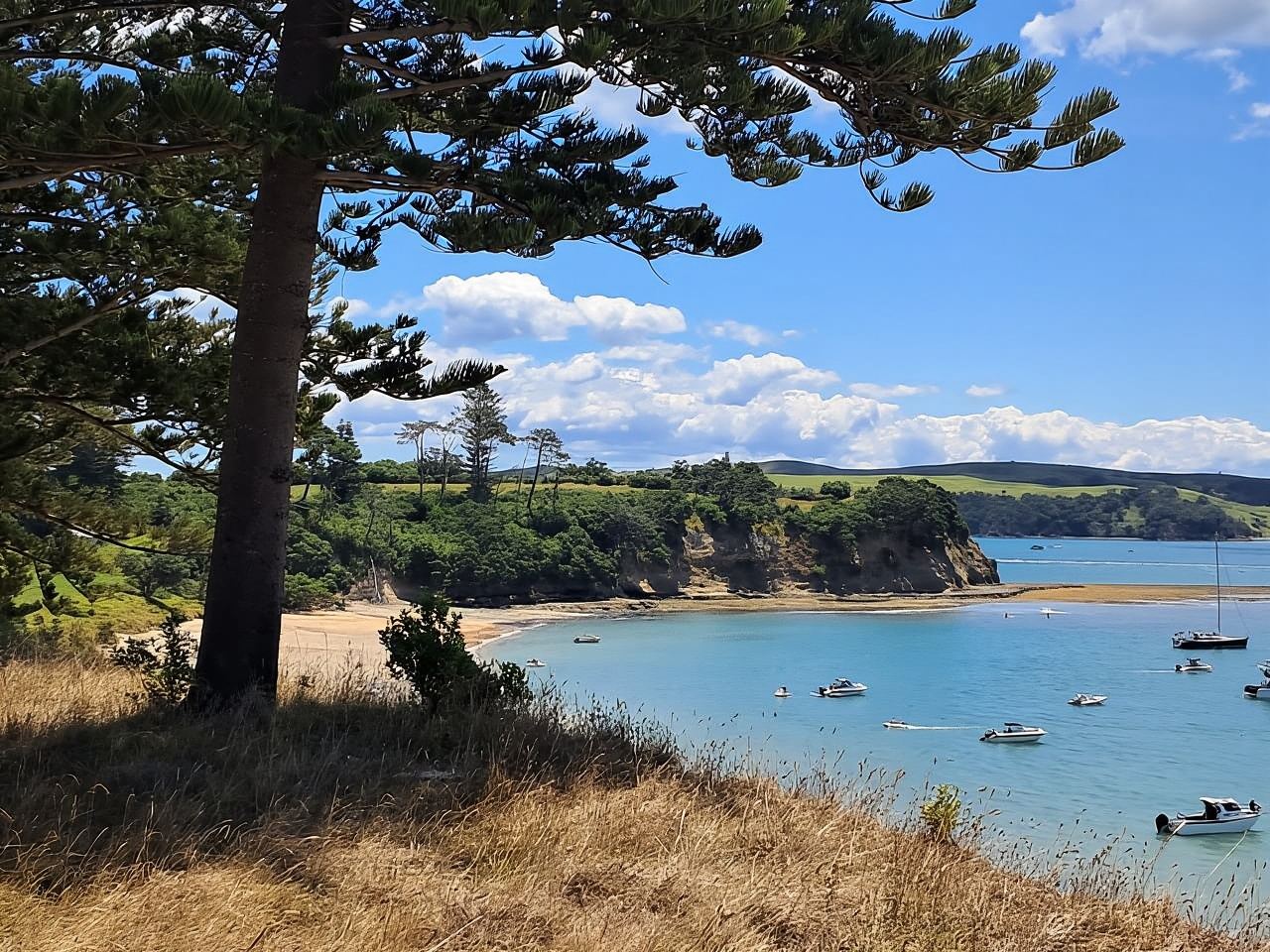 Auckland: Motuihe Island Ferry Ticket