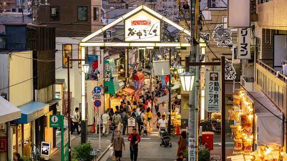 Tour a pie por Tokio de las calles comerciales históricas de Yanaka