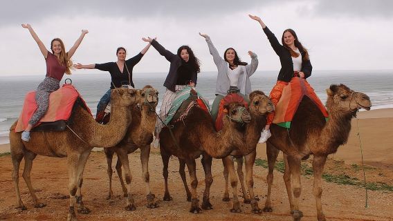 Visite inoubliable de Tanger en 4 heures – Médina, Kasbah et vie locale