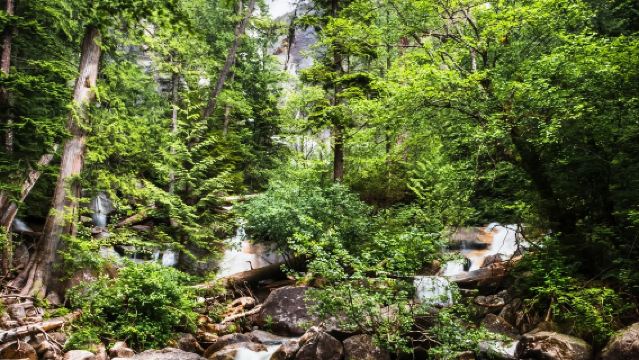 加拿大溫哥華-惠斯勒一日遊【中文包車自由行】