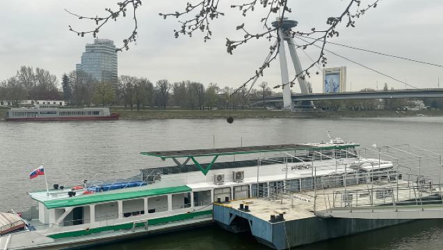 Bratislava: Cruise - Devín Castle Round Trip