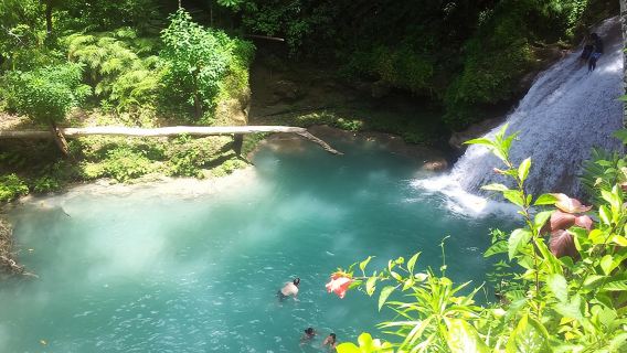 Falmouth Dunns River Falls and Blue Hole Excursion