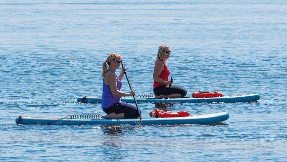 Dolphin and Manatee Stand Up Paddleboard Tour in Daytona Beach