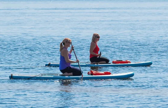 在代托納海灘體驗海豚和海牛立式槳板之旅