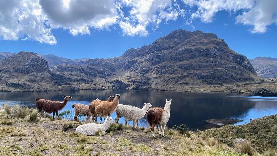 Tour per piccoli gruppi al Parco Nazionale Cajas da Cuenca